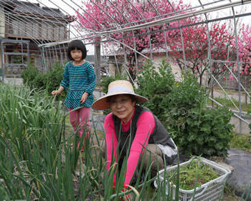 �����ۤˤ�